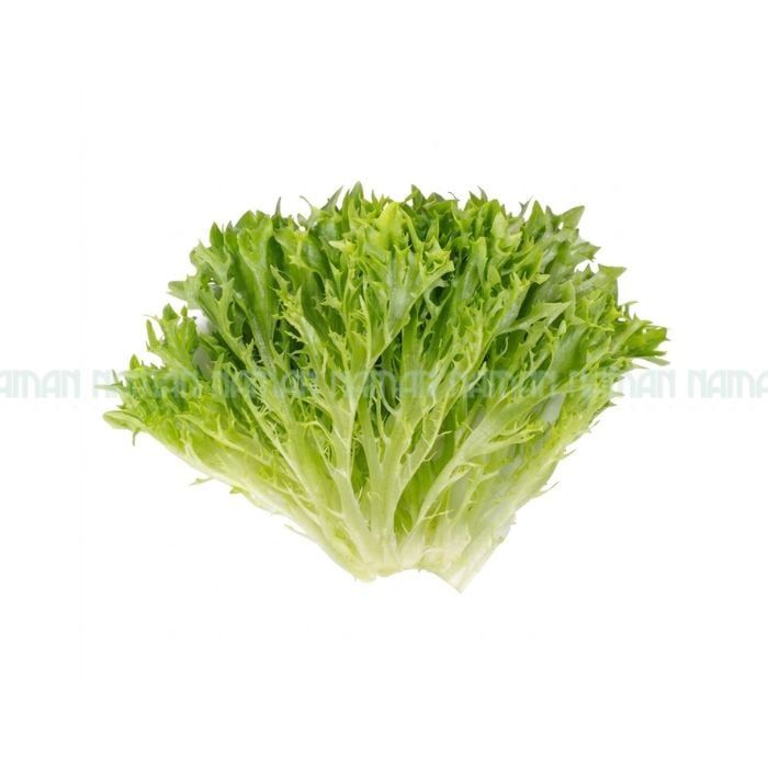 Green Frisee Lettuce Salanova 250G