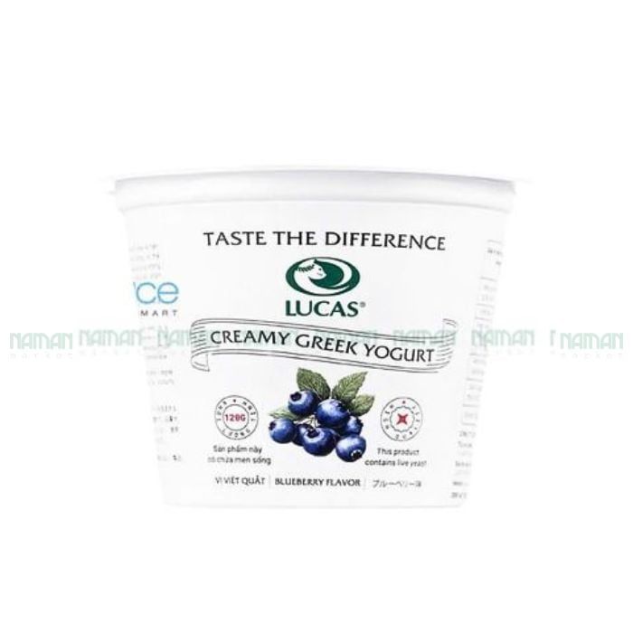 Yogurt Blueberry Lucas 120G