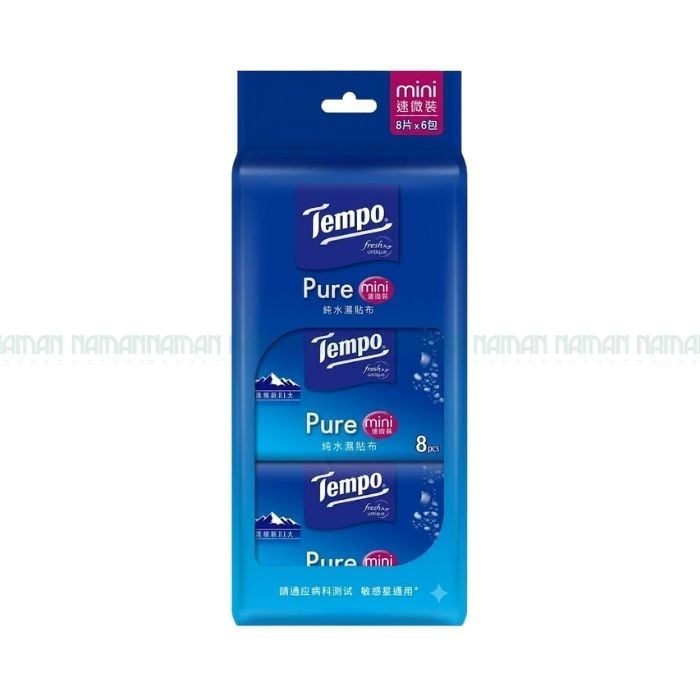 Mini Wet Wipes No Fragant Tempo 6 X 40,32G