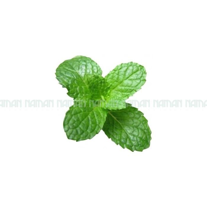 Lá Bạc Hà Xanh Nam An 50G