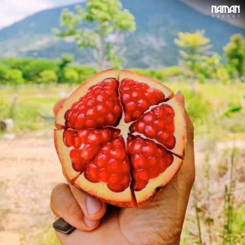 Lựu Hữu Cơ Giống Tây Ban Nha 500G