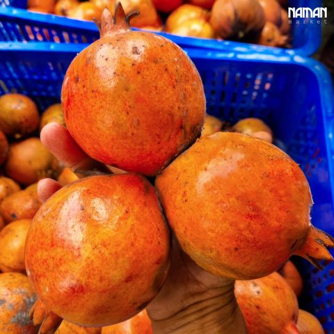 Lựu Hữu Cơ Giống Tây Ban Nha 500G
