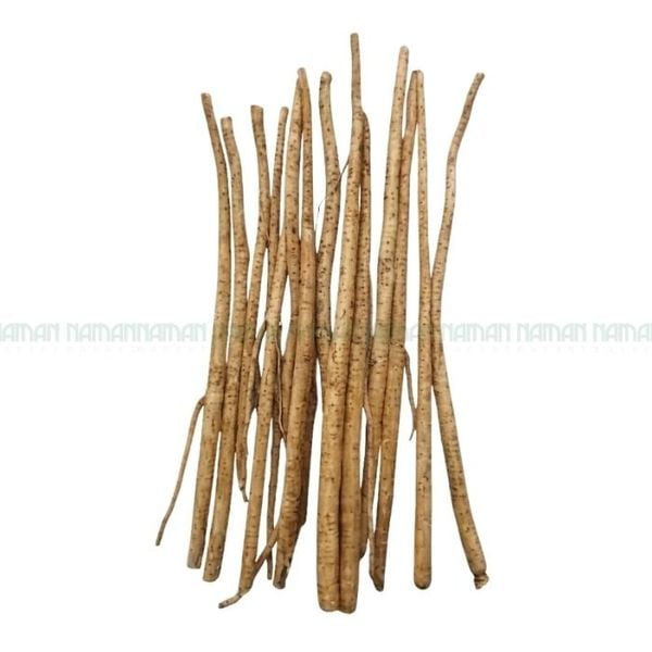 Củ Ngưu Báng 500G