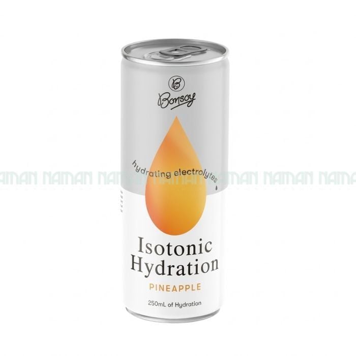 Isotonic Hydration Pineapple Bonsoy 250Ml