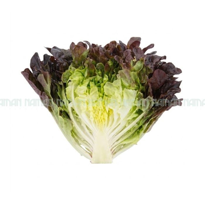 Xà Lách Sồi Tím Salanova 250G