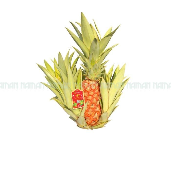 Red Pineapple 500G+