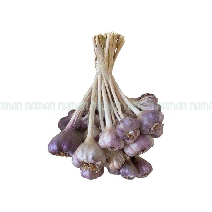 Nghe An Purple Garlic 500G