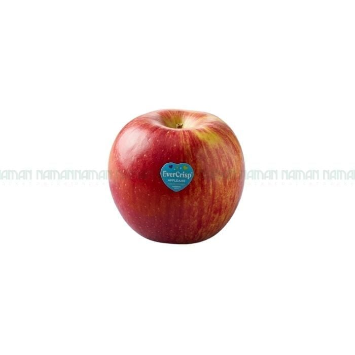 Premium Honey Apple New Zealand Evercrisp