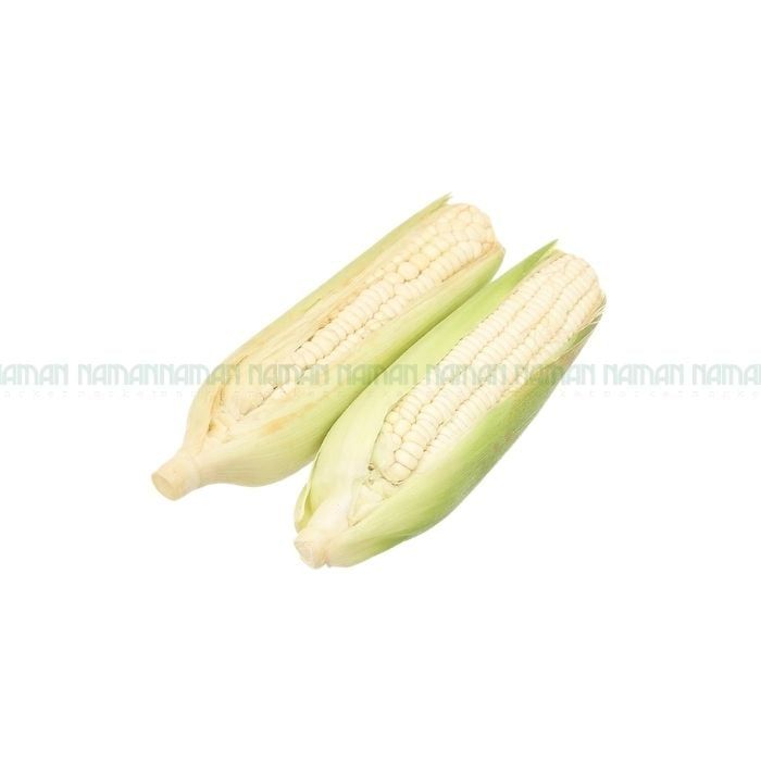 Trái Bắp Nếp Nam An