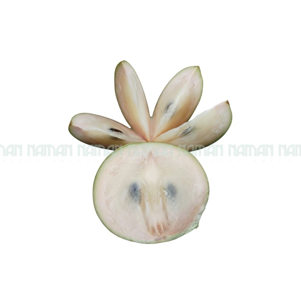 Vú Sữa Bơ Hồng 3-4 Trái/Kg