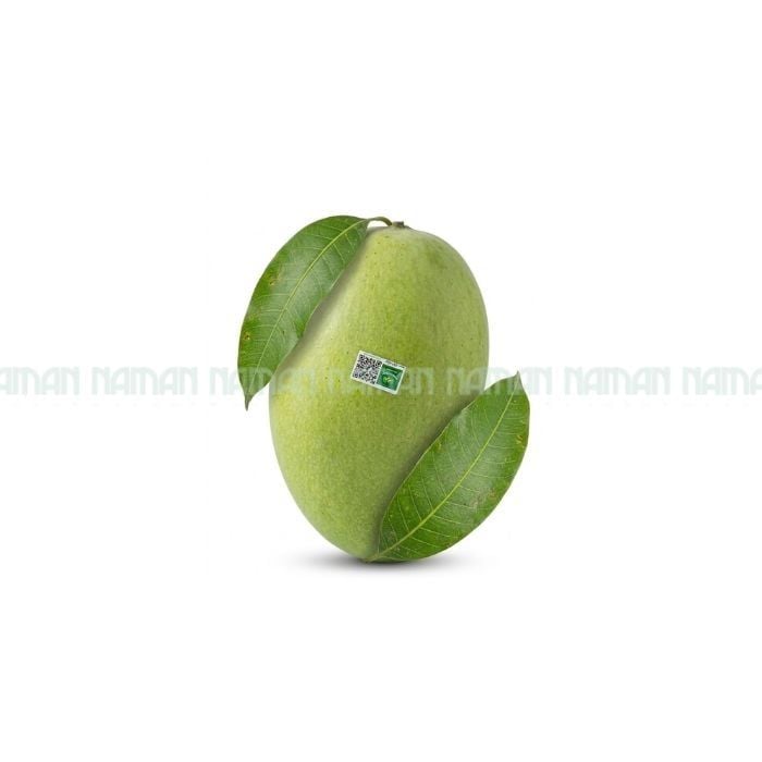 Xoài Cát Hòa Lộc Hữu Cơ 500G