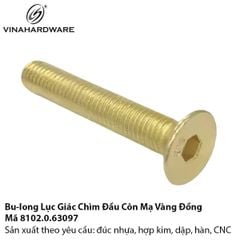 8102.0.63097 – “Ốc Vít Mạ Vàng, Điểm Nhấn Sang Trọng”