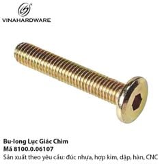 Bulong lục giác chìm - Mã 8100.0.85017