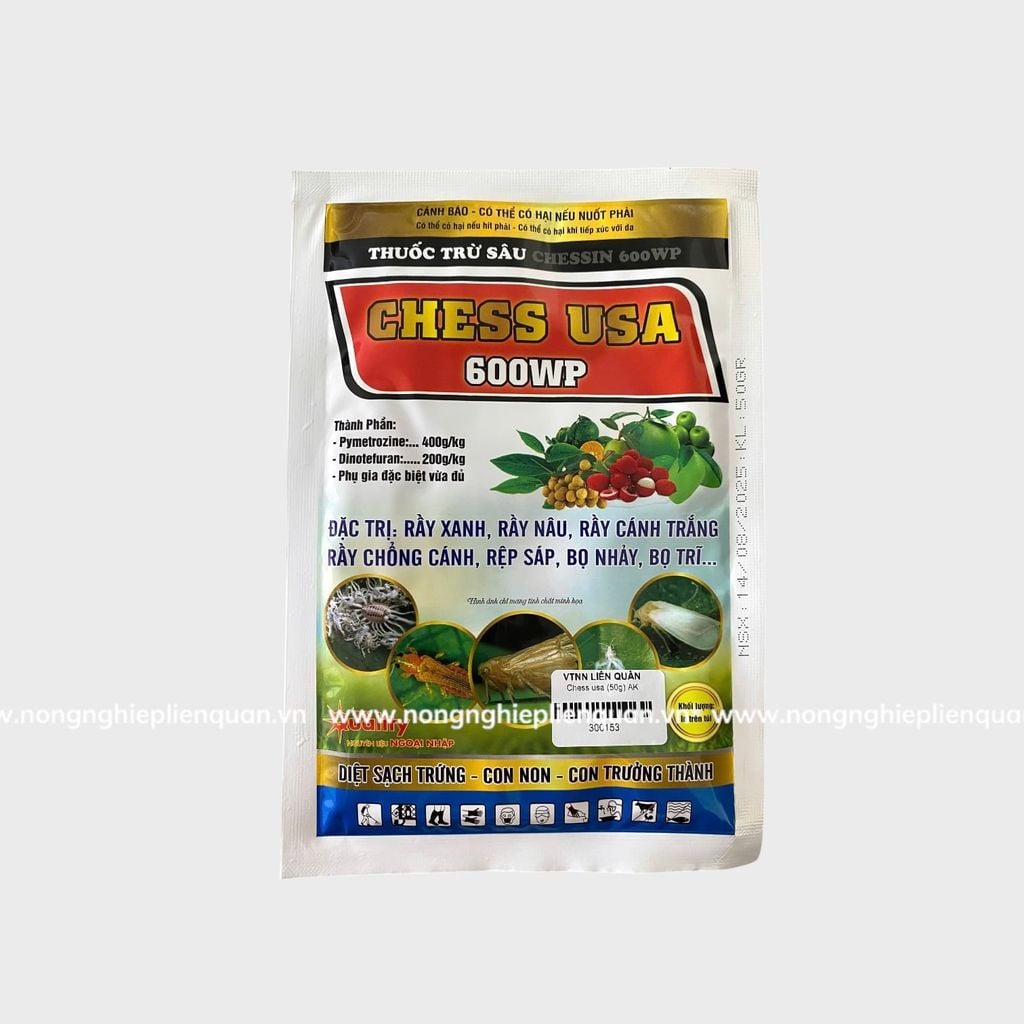 CHESS USA 600WP