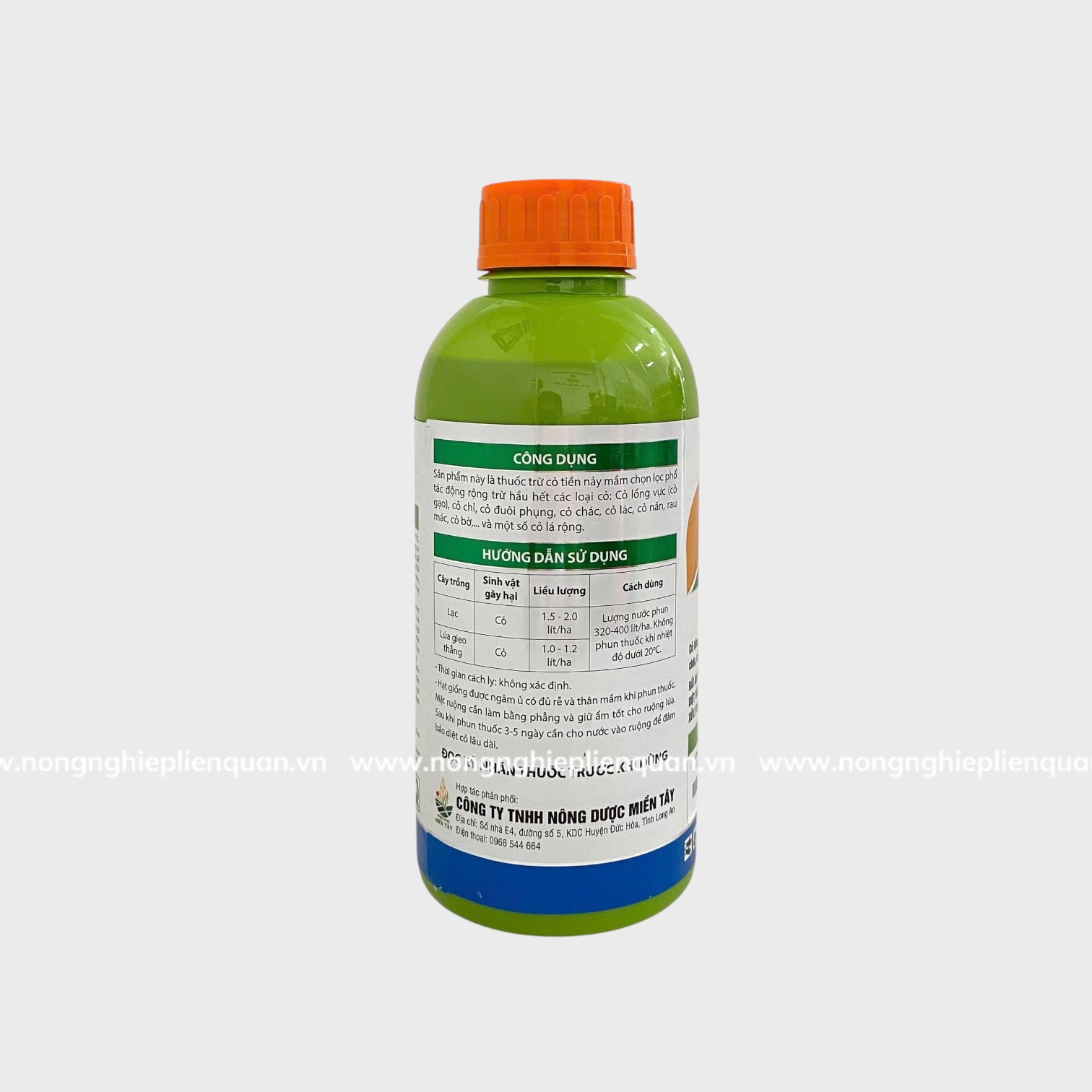 MEECHEO NHẬT (L) MT