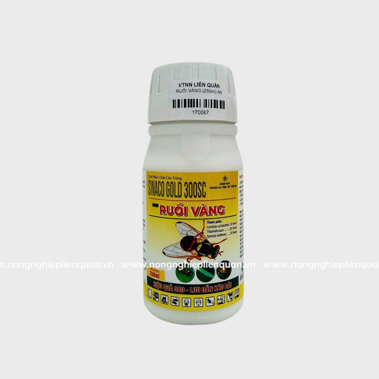 RUỒI VÀNG 250ml