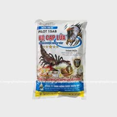 ỐC BÒ CẠP LỬA 15AB (800g) MT