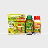 CẶP ĐÔI HOÀN HẢO