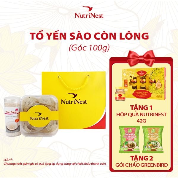  Combo Tổ Yến Sào NutriNest còn lông - Góc 100g - Không hộp 