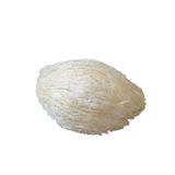  Cleaned Bird's Nest - Full Cup Shape 