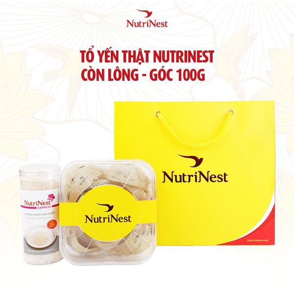  Combo Tổ Yến Sào NutriNest còn lông - Góc 100g - Không hộp 