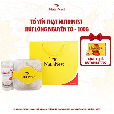 Tặng 1 NTN 72 HQ 6