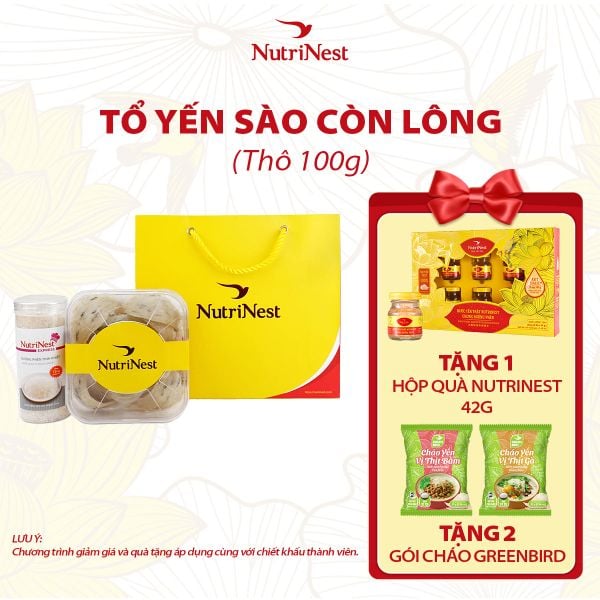  Combo Tổ Yến Sào NutriNest còn lông - Thô 100g - Không hộp 