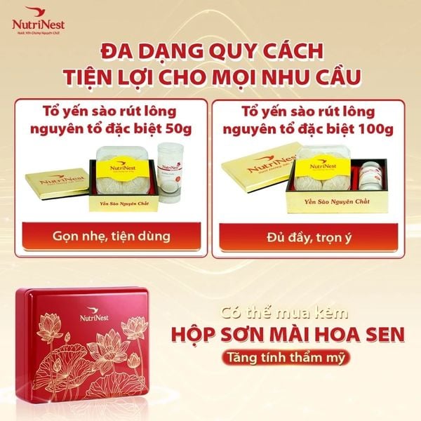  Combo Tổ Yến Sào NutriNest rút lông - 100g - Không hộp 