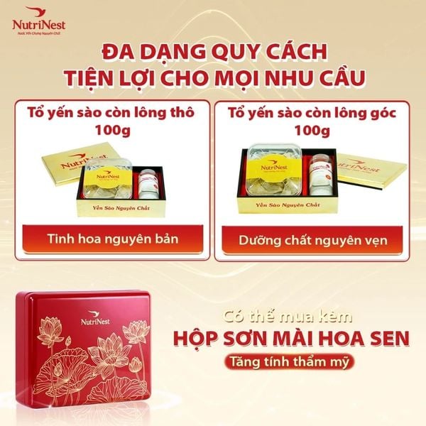  Combo Tổ Yến Sào NutriNest còn lông - Thô 100g - Không hộp 