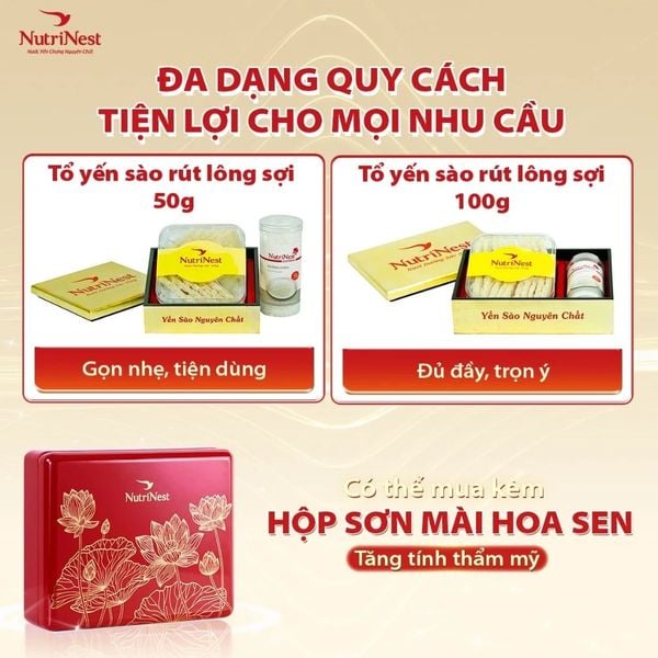  Combo Tổ Yến Sào NutriNest rút lông - Sợi 100g - Không hộp 