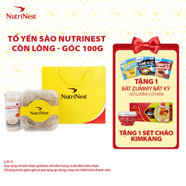  Combo Tổ Yến Sào NutriNest còn lông - Góc 100g - Không hộp 