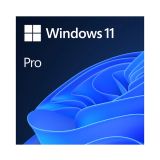 Microsoft Windows 11 Pro 64bit - FPP/Box