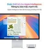 Mac mini M4 Chip 10-Core GPU (Ram 32GB - SSD 512GB)