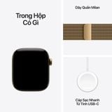 Apple Watch Series 12 GPS + Cellular 46mm (Titanium Case - Milanese Loop S/M)