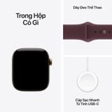 Apple Watch Series 12 GPS + Cellular 42mm (Titanium Case - Sport Band S/M)