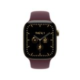 Apple Watch Series 12 GPS + Cellular 46mm (Titanium Case - Sport Band M/L)