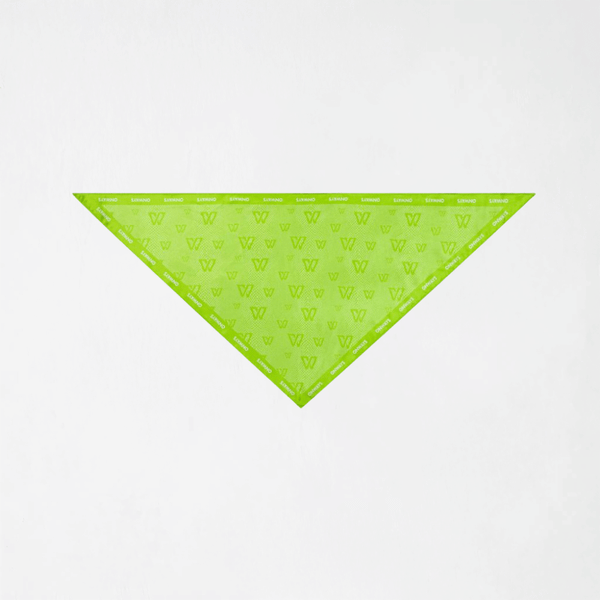 SNAKE SCARF U5232