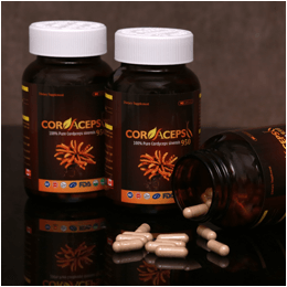 ĐÔNG TRÙNG HẠ THẢO