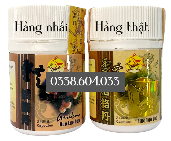 linh chi hoạt lạc đơn