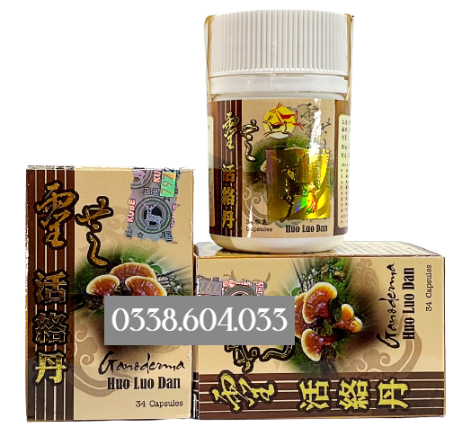 Ganoderma Huo Luo Dan