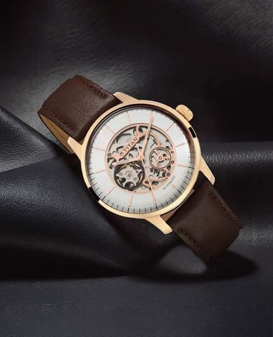  TITAN - Đồng hồ nam Automatic 44mm 