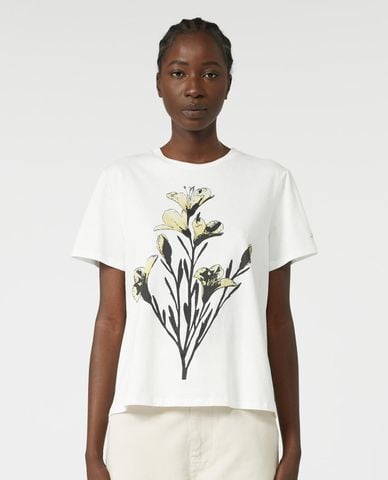  WEEKEND MAX MARA - Áo thun nữ cổ tròn tay ngắn Guglia 