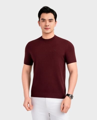  ARISTINO BUSINESS - Áo dệt kim nam cổ tròn tay ngắn 