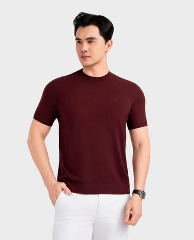  ARISTINO BUSINESS - Áo dệt kim nam cổ tròn tay ngắn 