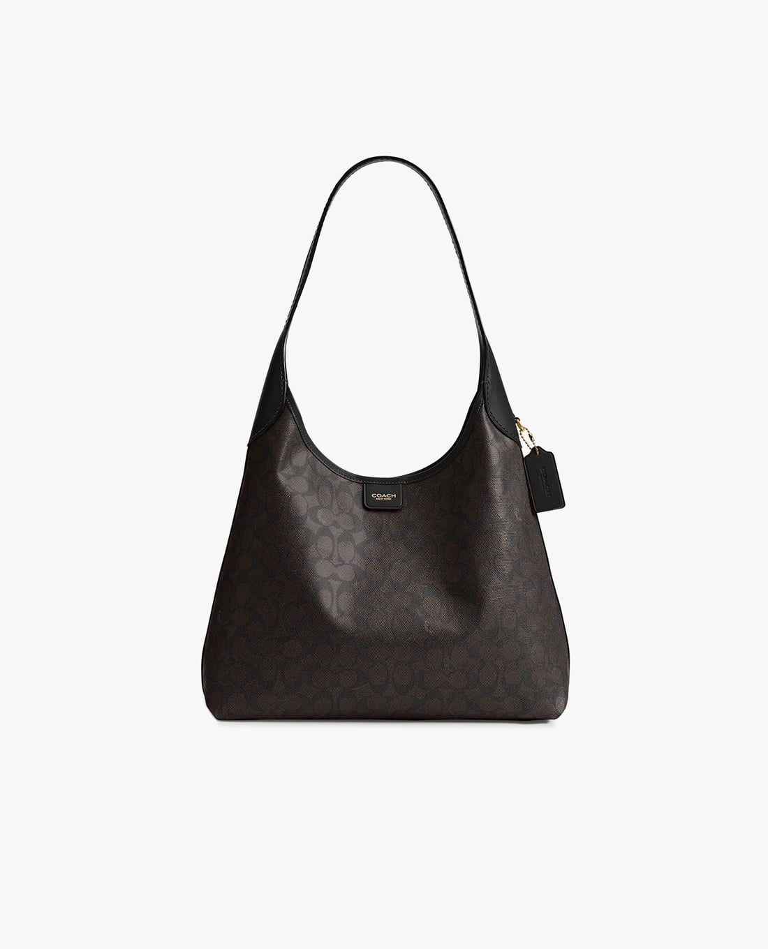 COACH - Túi đeo vai nữ Brooklyn In Signature Canvas