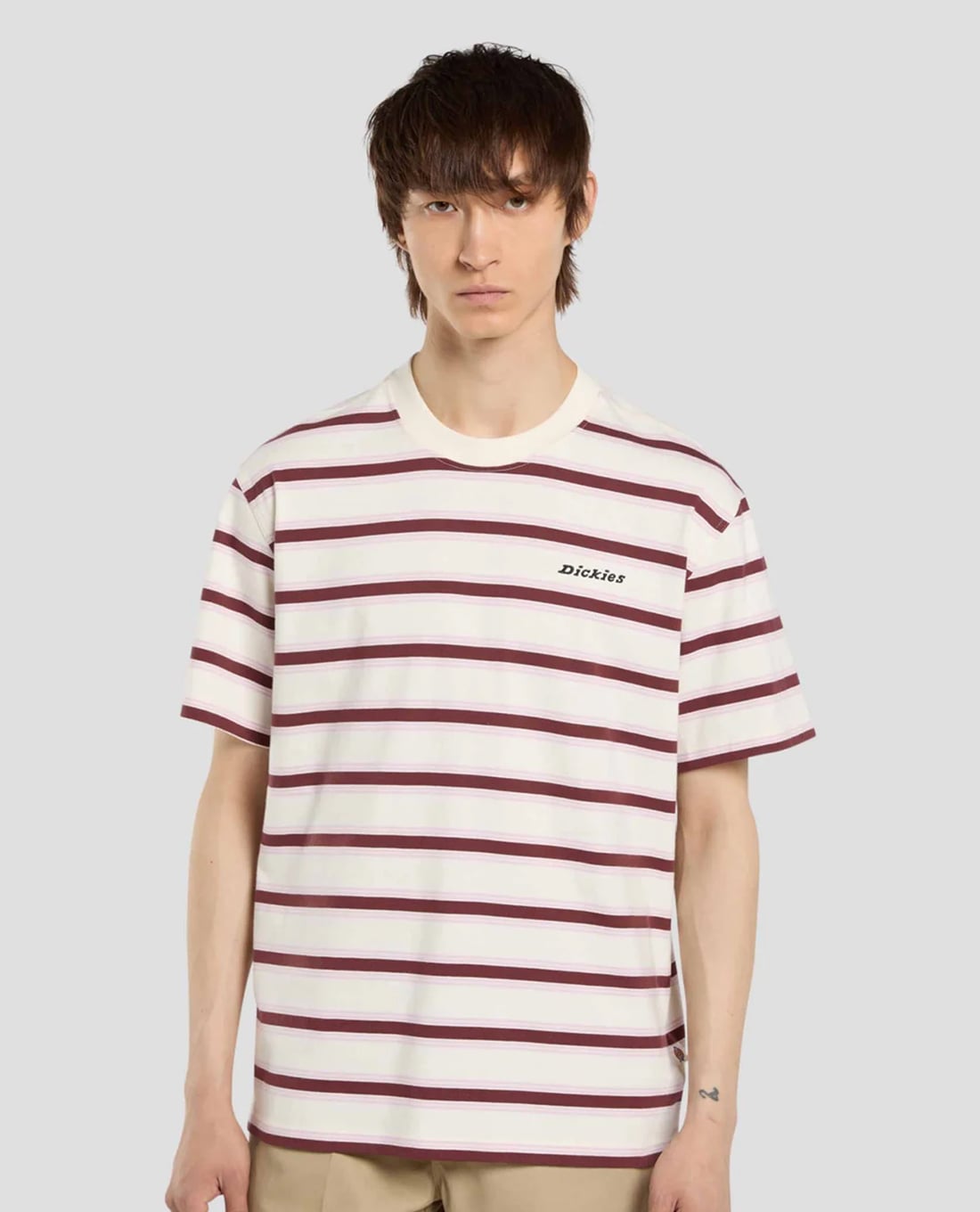 DICKIES - Áo thun nam cổ tròn tay ngắn kẻ sọc Stevensville