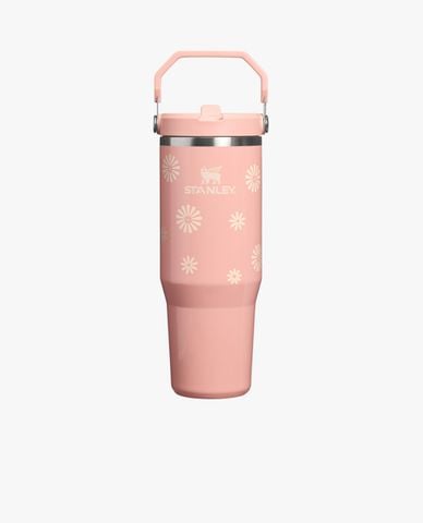  STANLEY - Bình giữ nhiệt IceFlow Flip Straw 890ml 