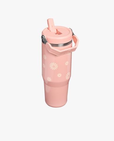  STANLEY - Bình giữ nhiệt IceFlow Flip Straw 890ml 