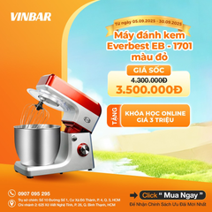 MÁY ĐÁNH KEM EVERBEST