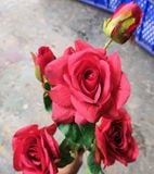 Hoa Giả - Hoa Hồng 4 Bông 2 Nụ 65Cm Màu Đỏ